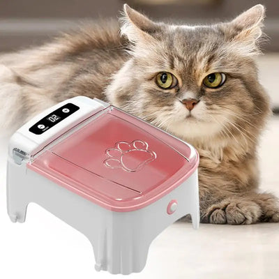 Automatic Cat Food Dispenser Timed Auto Cat Feeder Electric Food Dispenser Dry Feeding Pet Bowl For Small Dog