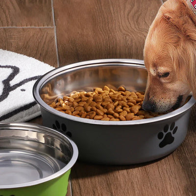 Dog Water Bowl with Non-Slip Rubber Base And Cats And Dogs Drinking Water Feeding Pet Bowl Stainless Steel