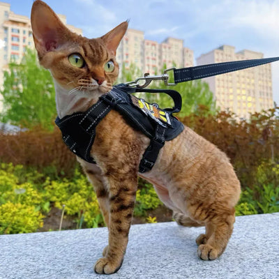 Handheld Cat Harness and Leash for Cats Gotas Reflective Pet Harnesses with Accessories mascotas Siamese
