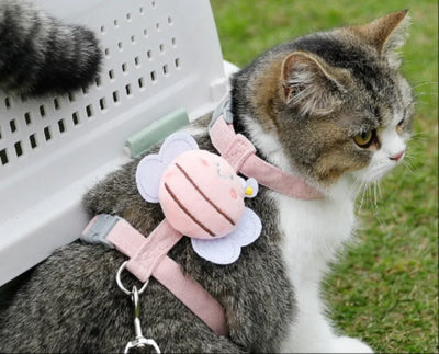 Cat Harness Leash Collar Set Adjustable Cartoon Bee Double Layer Dog Harness for Small Medium Pet Collar