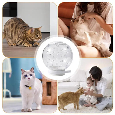 Cat Muzzle Cat Grooming Masque Clear Cat Adjustable Hood Pet Grooming Cover Accessory Prevent from Cats