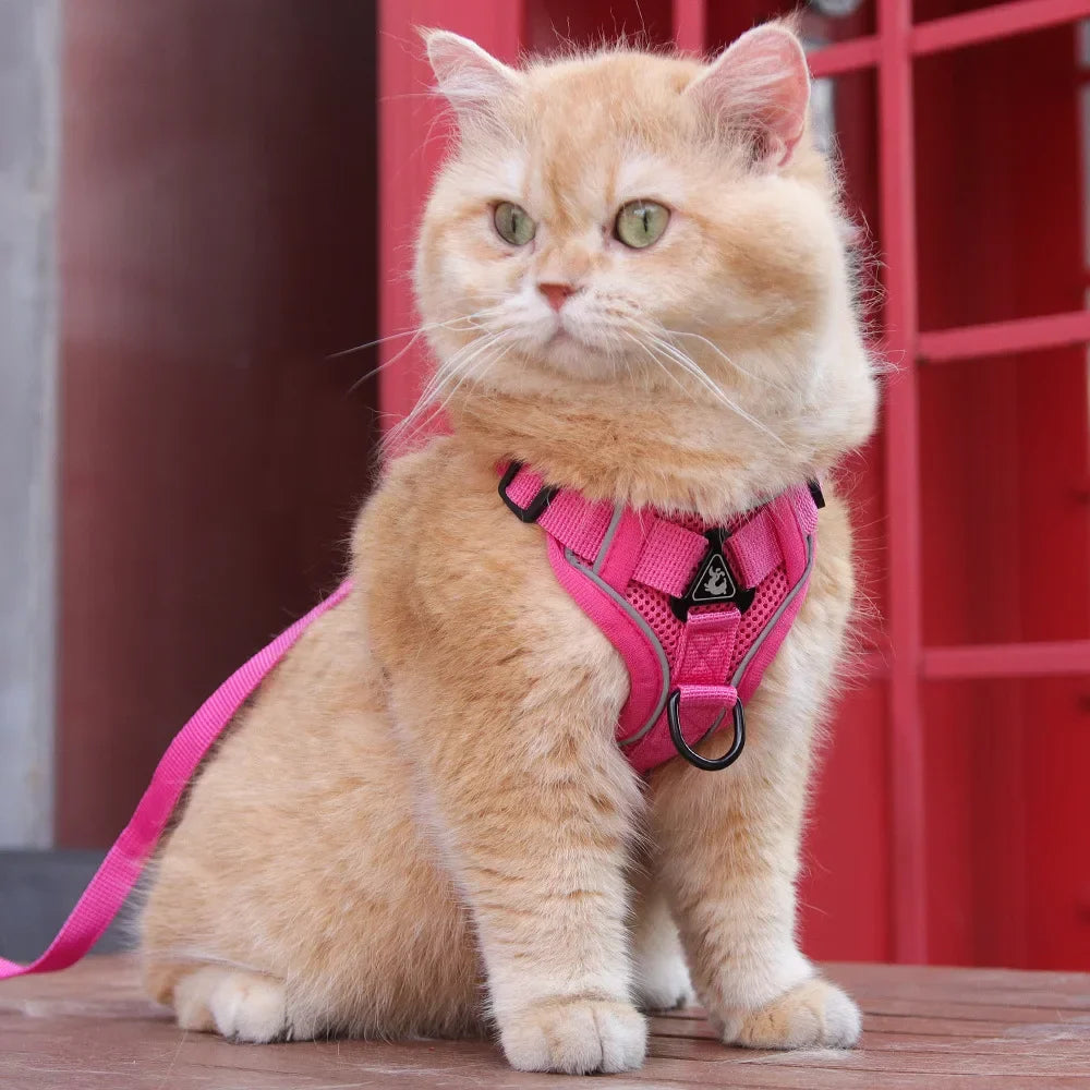 Cat Harness and Leash for Walking, Escape Proof Soft Adjustable Vest Harnesses for Cats, EasyControl