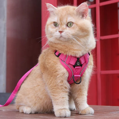 Cat Harness and Leash for Walking, Escape Proof Soft Adjustable Vest Harnesses for Cats, EasyControl