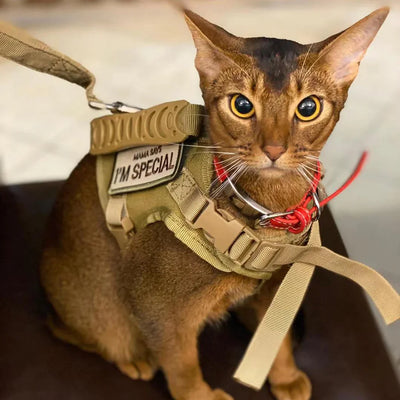 Cat Harness Leash Tactical Vest Small Dog Kitten Military Harness  Escape Proof Full Body Breathable For Puppy Walking