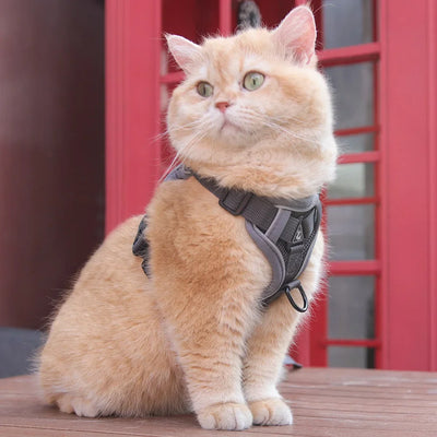 Cat Harness and Leash for Walking, Escape Proof Soft Adjustable Vest Harnesses for Cats, EasyControl