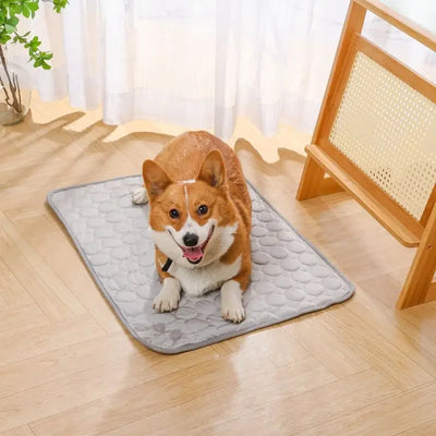 Summer Pet Ice Mat Dog Mat Bite-resistant Cooling Breathable Ice Mat Cat Dog Mat Sleeping Mat Pet Supplies