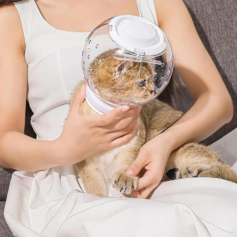 Cat Muzzle Cat Grooming Masque Clear Cat Adjustable Hood Pet Grooming Cover Accessory Prevent from Cats