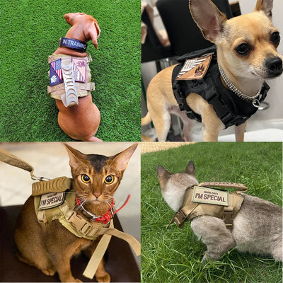 Cat Harness Leash Tactical Vest Small Dog Kitten Military Harness  Escape Proof Full Body Breathable For Puppy Walking