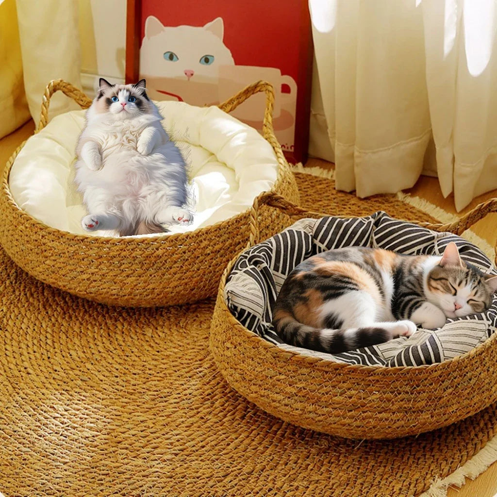 Rattan-Woven All-Season Cat Bed – Round Donut Design with High Wrapped Edges & Cushion (Warm in Winter