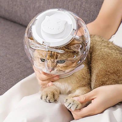 Cat Muzzle Cat Grooming Masque Clear Cat Adjustable Hood Pet Grooming Cover Accessory Prevent from Cats