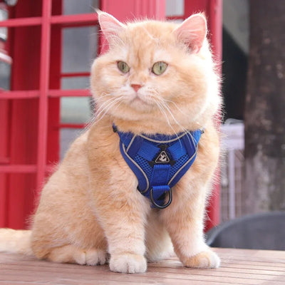 Cat Harness and Leash for Walking, Escape Proof Soft Adjustable Vest Harnesses for Cats, EasyControl