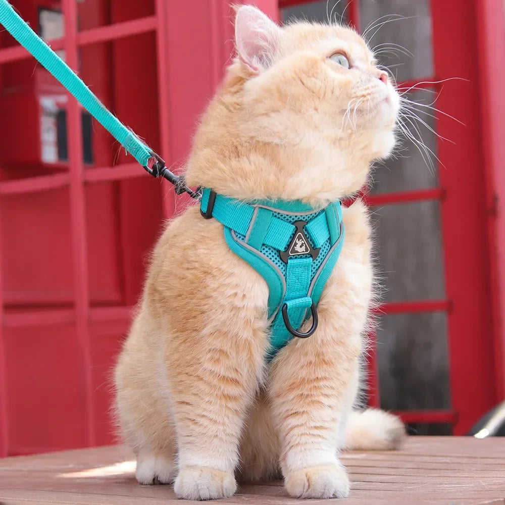 Cat Harness and Leash for Walking, Escape Proof Soft Adjustable Vest Harnesses for Cats, EasyControl