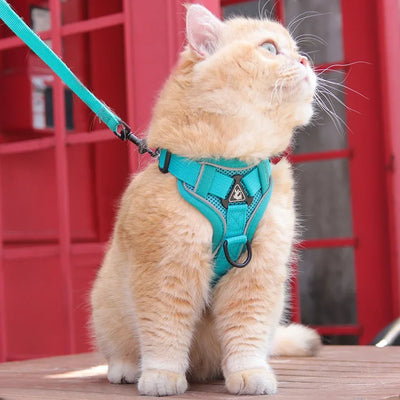 Cat Harness and Leash for Walking, Escape Proof Soft Adjustable Vest Harnesses for Cats, EasyControl