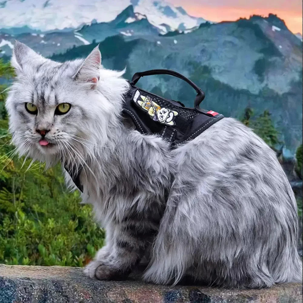 Handheld Cat Harness and Leash for Cats Gotas Reflective Pet Harnesses with Accessories mascotas Siamese